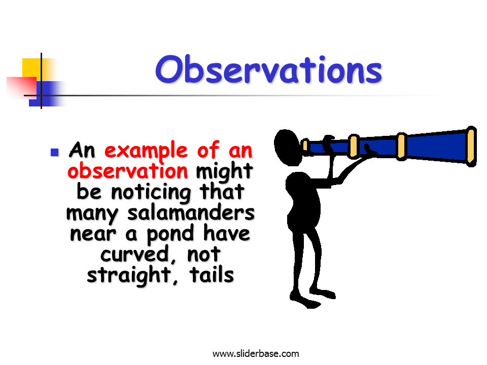 Scientific Method Presentation Biology