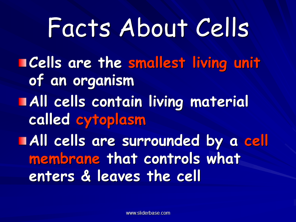 Study Of Biology Presentation Biology