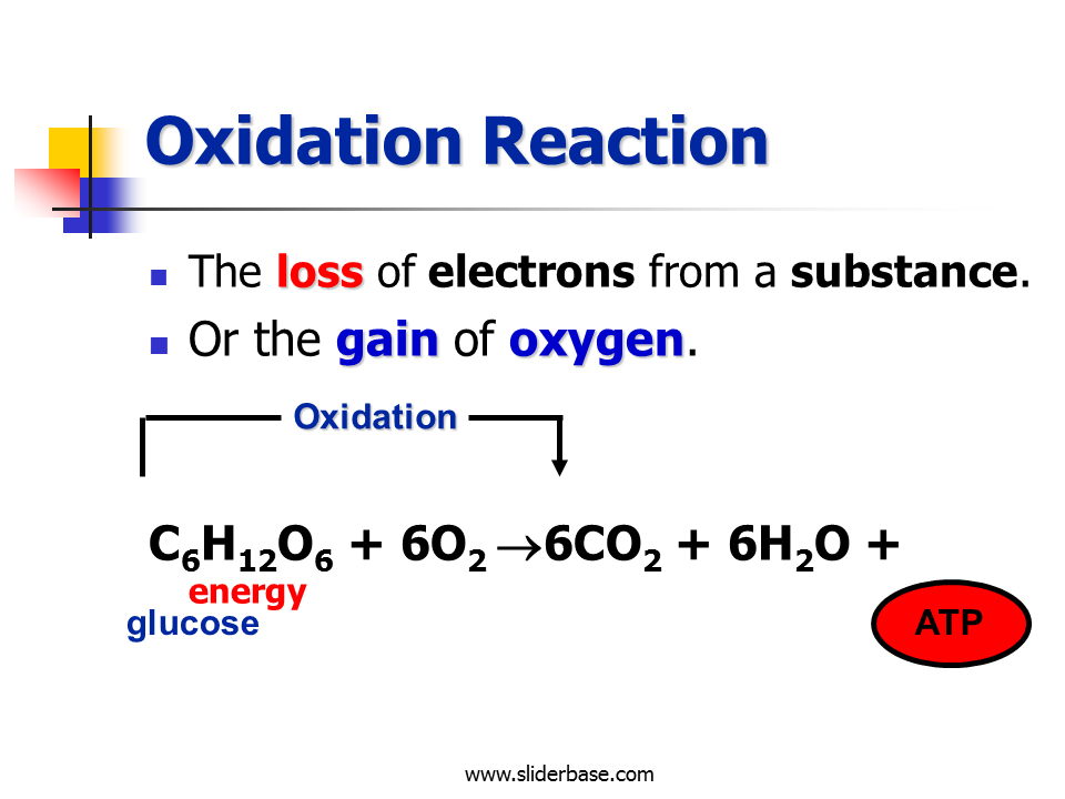 Cellular Respiration Presentation Biology