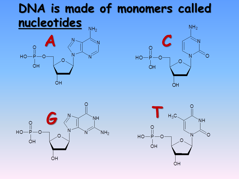 Polymers Presentation Chemistry