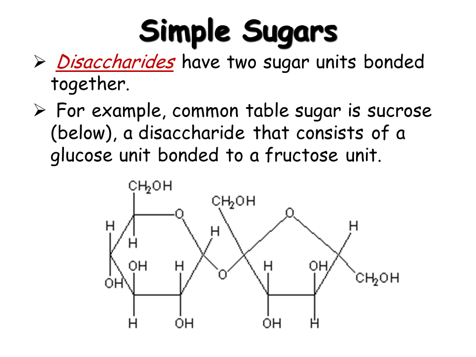 Biochemistry The Chemistry Of Life Presentation Biology