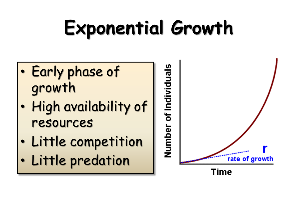 Population Growth Presentation Biology