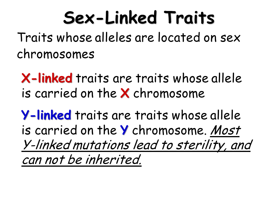 Sex Linked Traits Presentation Biology 4370