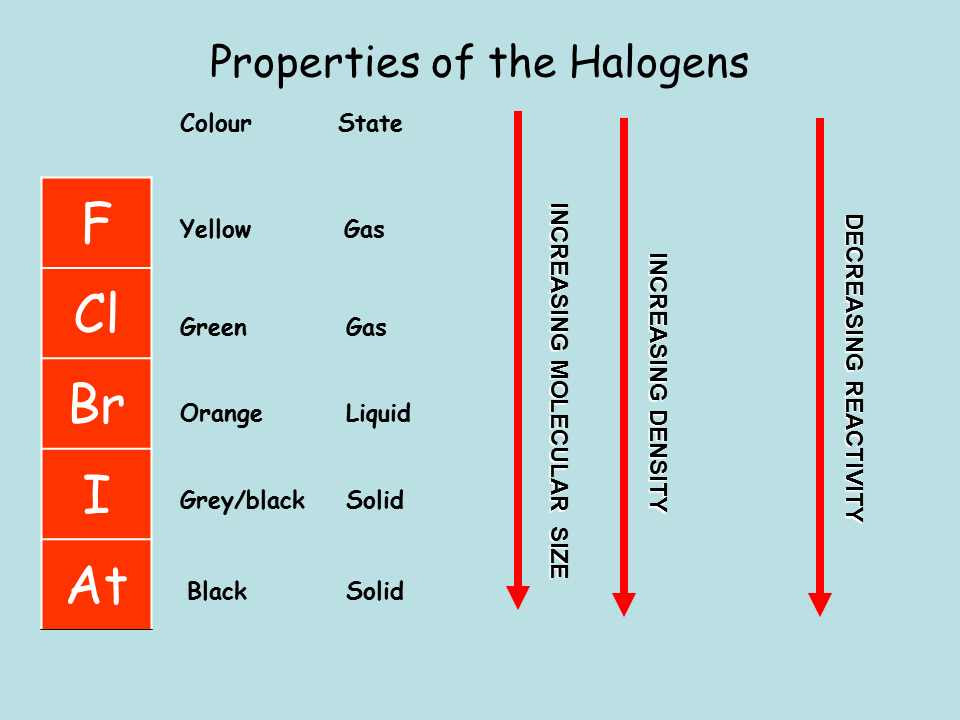 Group 7 Halogens Presentation Chemistry