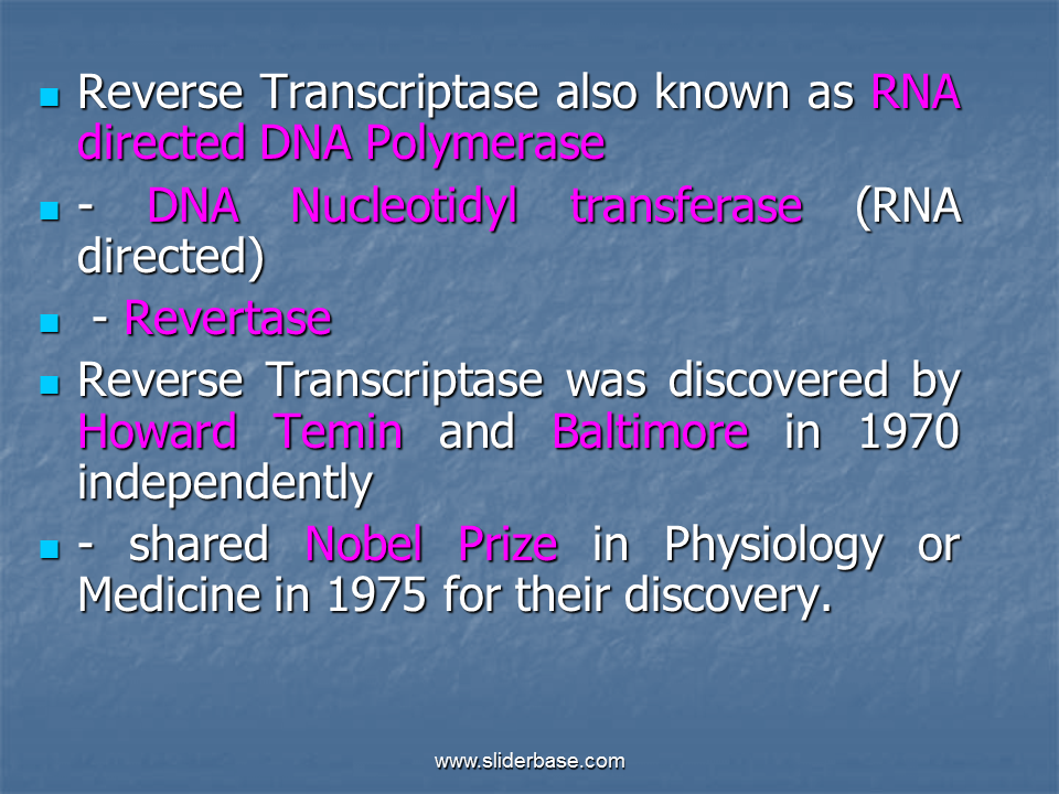  Can Reverse Transcriptase Use Dna As A Template 