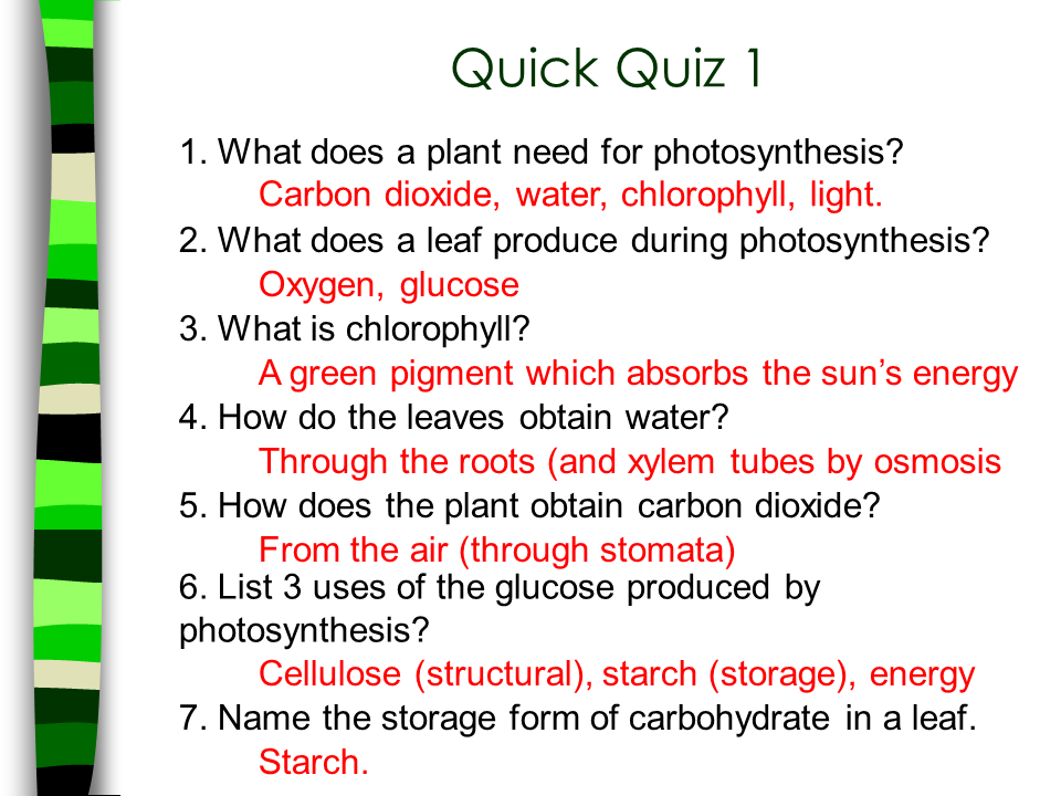 Summary of Photosynthesis