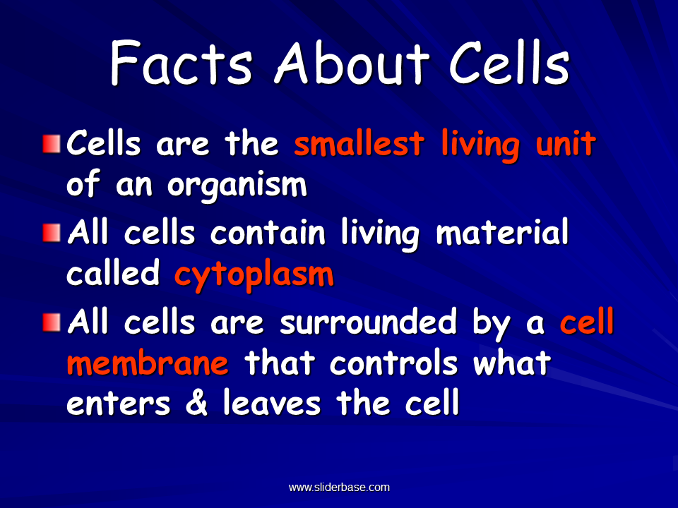 10 Facts About Cells - Riset