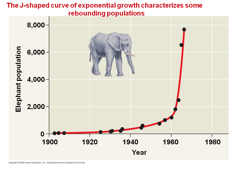 The Exponential Model Describes Population Growth In An Idealized 