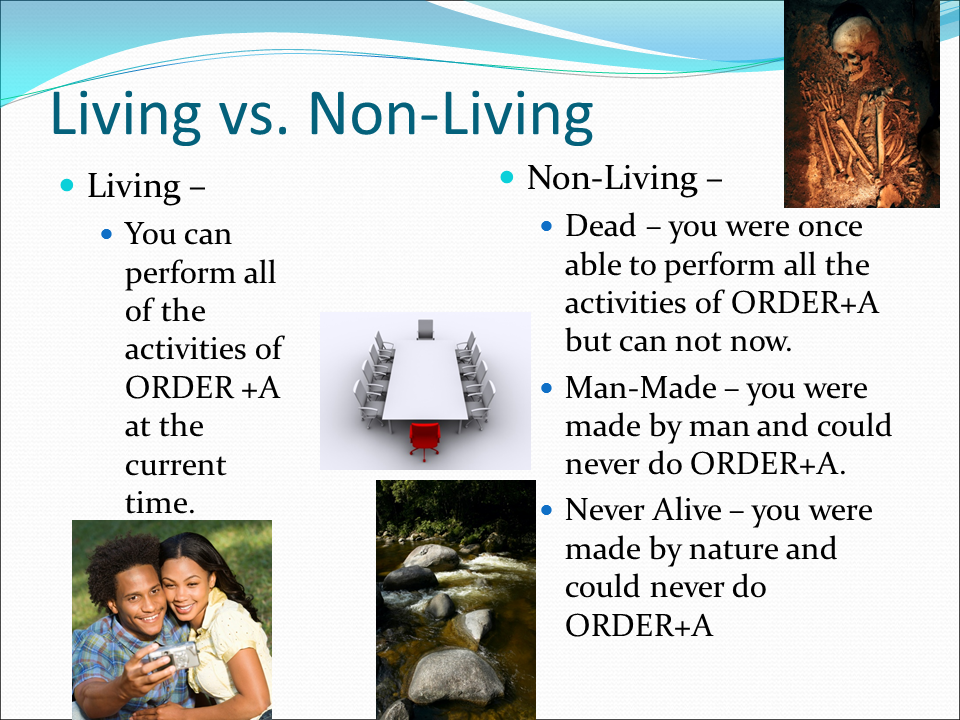 Living Vs Non Living Learning Pack This Reading Mama Montessori - Riset
